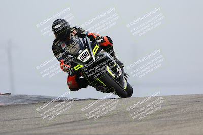 media/Feb-21-2025-Lets Ride (Fri) [[f483f33afd]]/Race Group/11am (Outside Grapevine)/